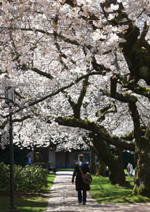 The University of Washington's Quad is one of the iconic features of the Seattle campus.