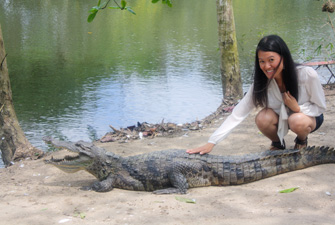 Human Centered Design & Engineering (HCDE) student Thuy Duong petting a crocodile. Photo courtesy of Amado Robancho