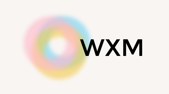 Wxm icon illustration
