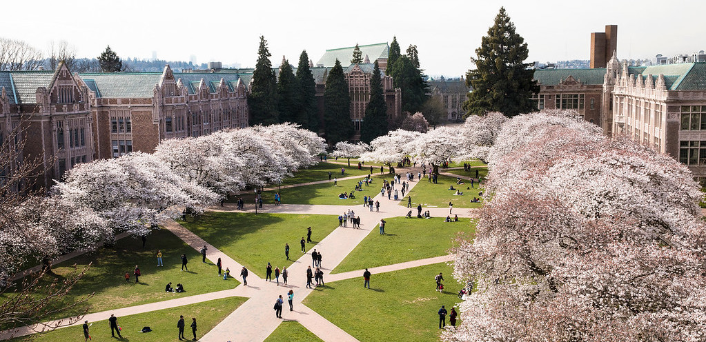 UW quad from above