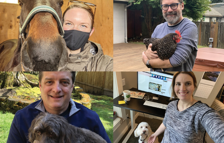 Collage of four faculty with their animals