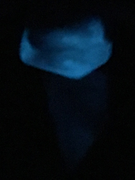 Bioluminescence