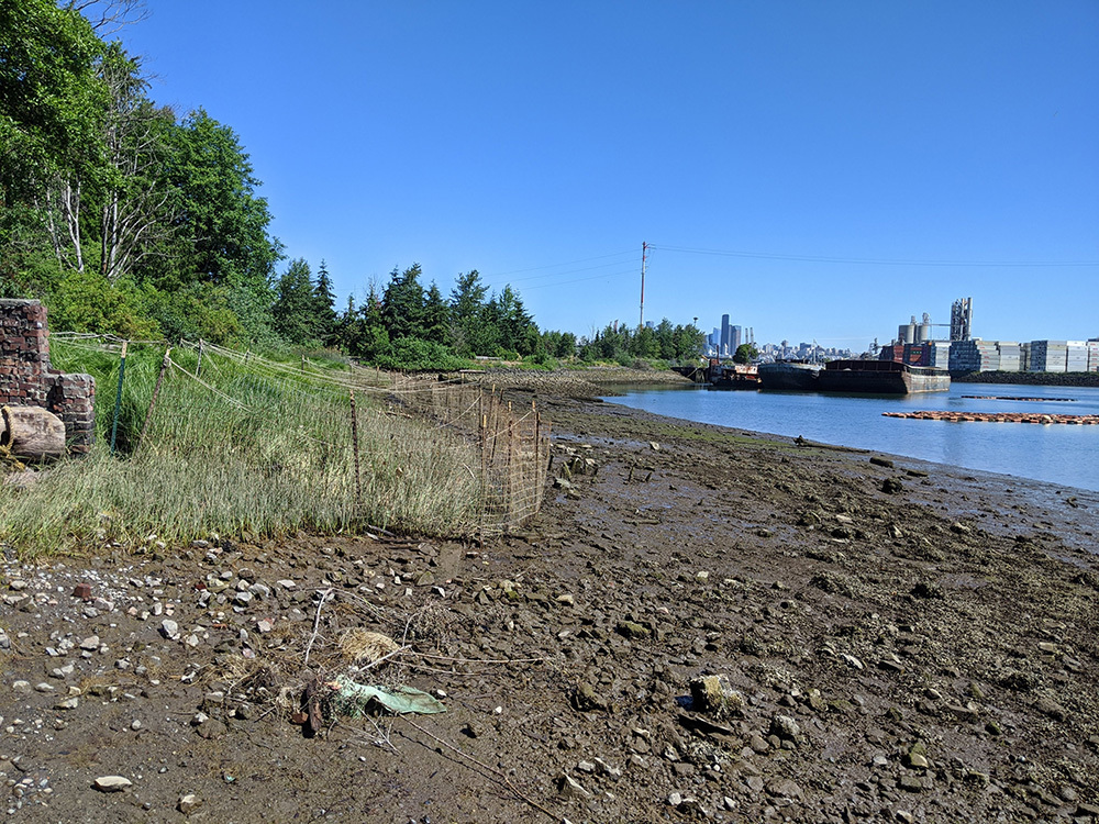 Photo of river with city in background