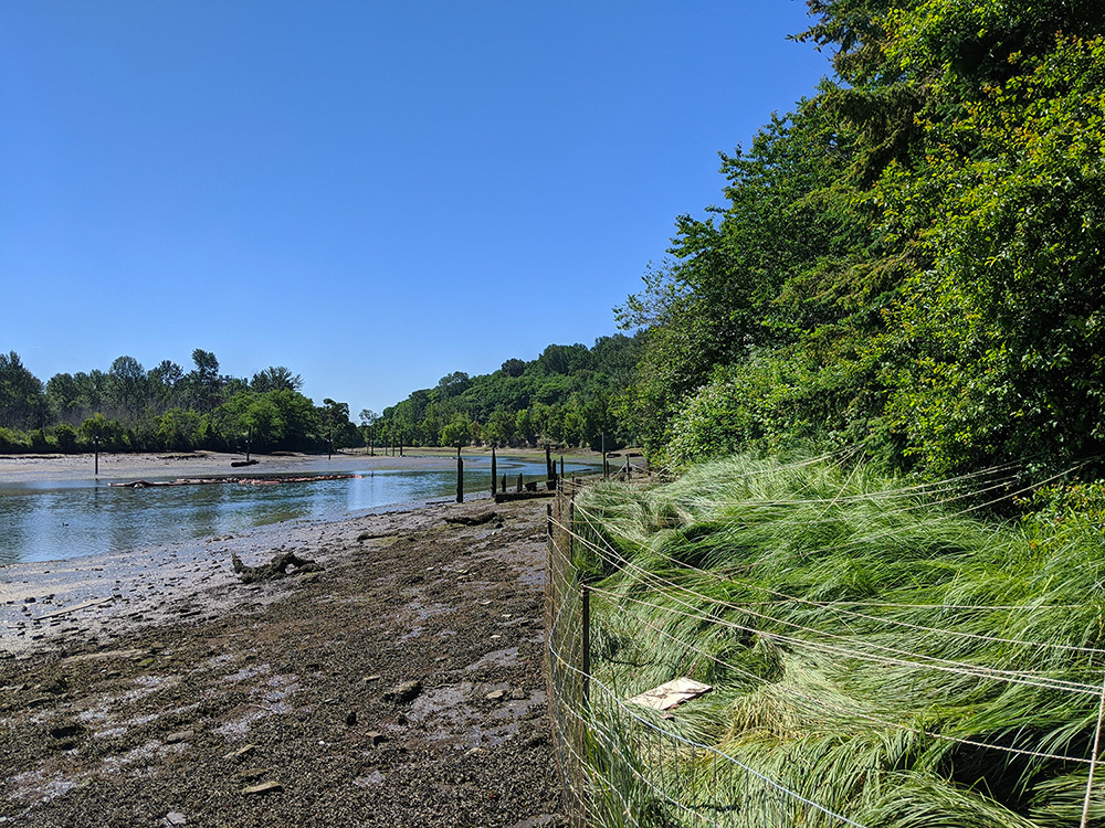 Photo of duwamish river and surrounding nature