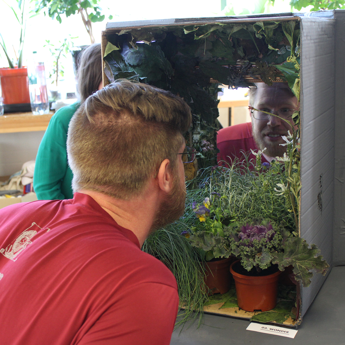 Student looking in to a final project box of greenery