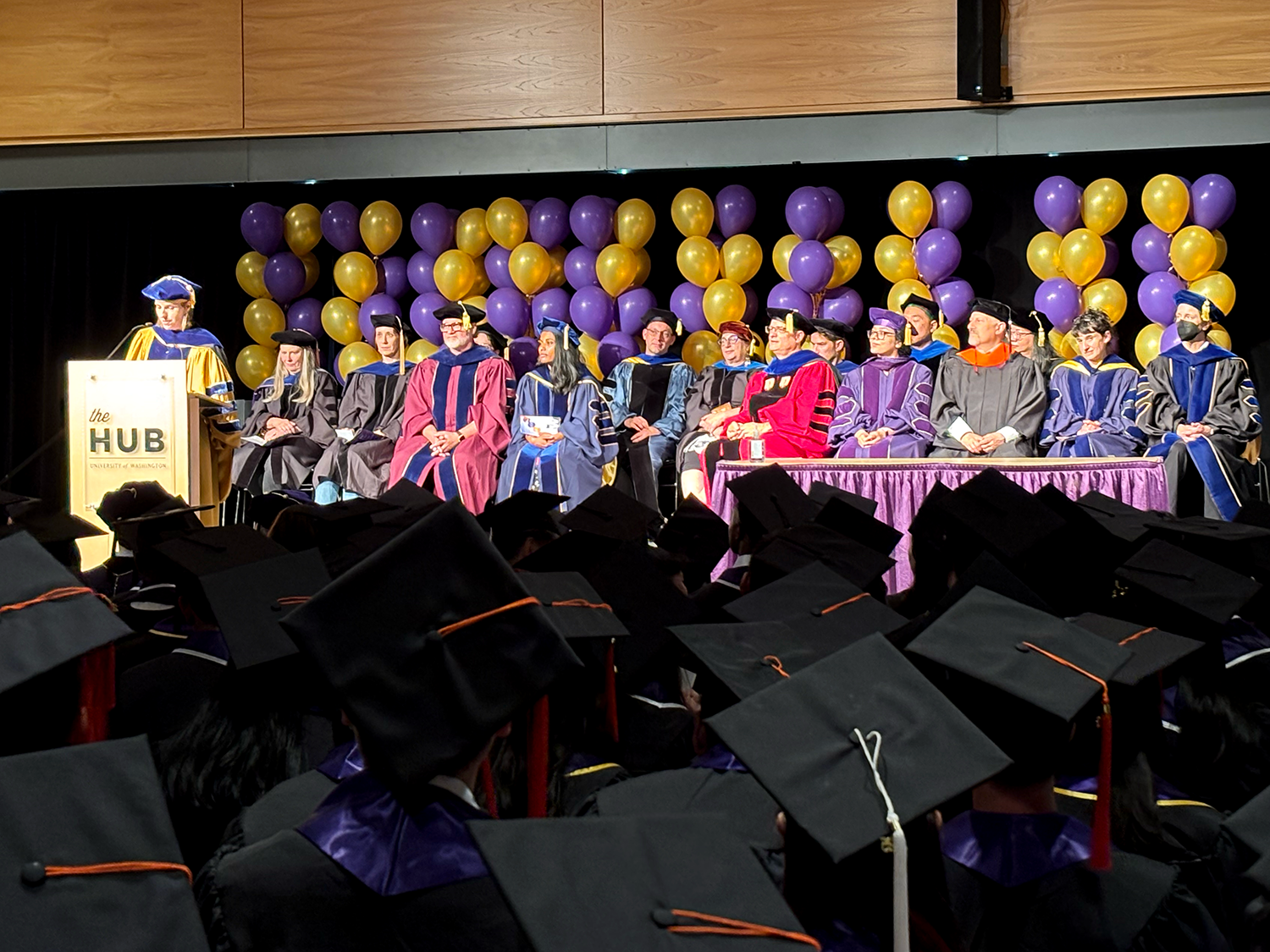 HCDE faculty on stage during graduation ceremony