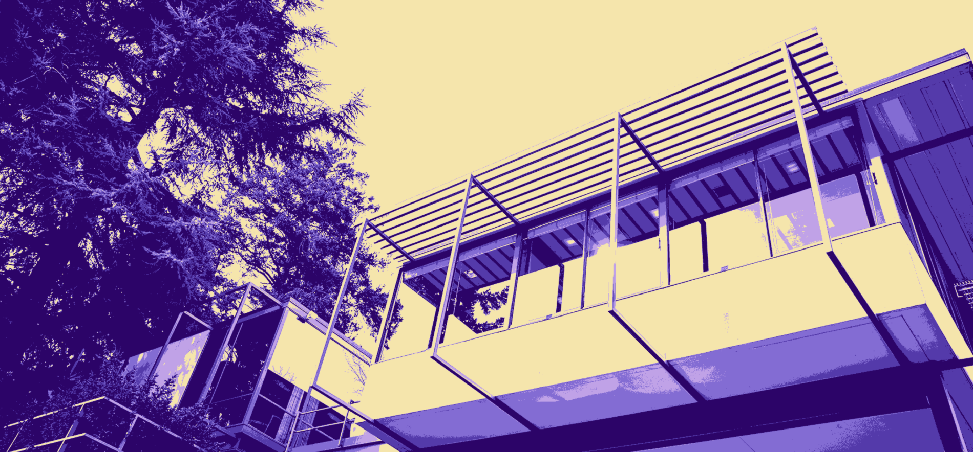 UW Club Seattle with purple and gold photo filter