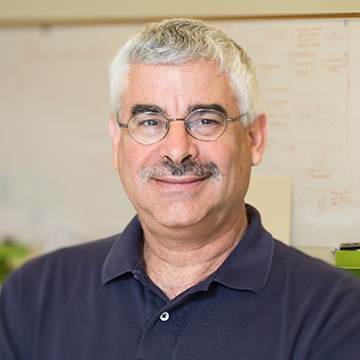 Mark Haselkorn