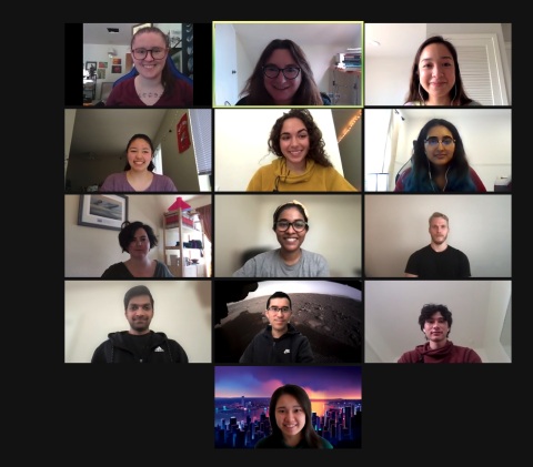 screenshot of group meeting on Zoom