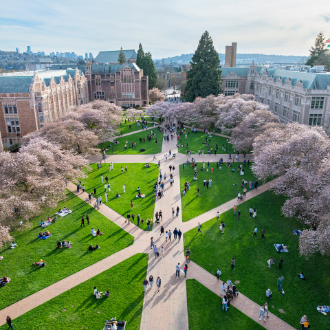 Aerial photo of UW Quad with cherry blossoms in bloom and lots of people walking around