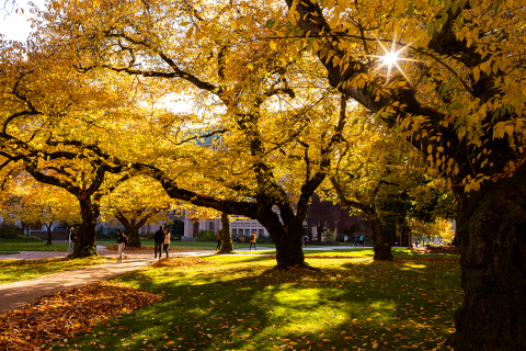 UW campus in the fall 