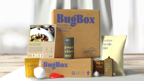 rendering of meal delivery kit including insect protein, recipe cards, ingredients and kit box.