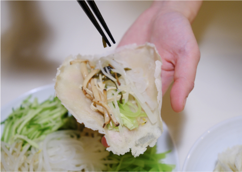 spring roll wrapper