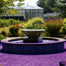 Fountain with purple overlay